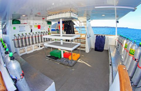 1_c6bo-voyage-plongee-equateur-galapagos-bateau-aqua-croisiere-dive-platform