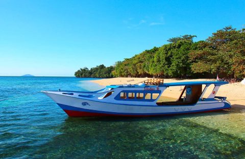 1_c6bo-voyage-plongee-indonesie-siladen-resort-and-spa-bateau