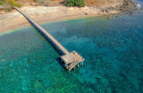 1_c6bo-voyages-plongee-indonesie-ile-sumbawa-kalimaya-dive-resort-diving-center-ponton