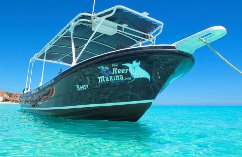 1_c6bo-voyages-plongee-mexique-playa-del-carmen-sejour-the-reef-marina-dive-boat
