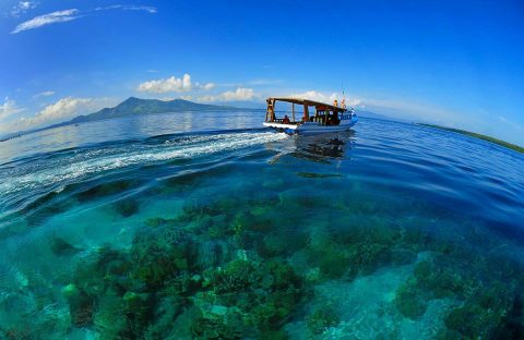 2_c6bo-voyage-plongee-indonesie-siladen-resort-and-spa-bateau-recif