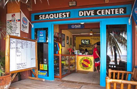 3-plongee-philippines-bohol-dive-center-Seaquest