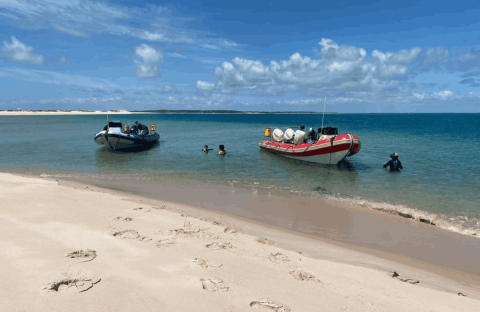 3_c6bo-voyage-plongee-mozambique-vilankulos-club-odyssea-zodiacs