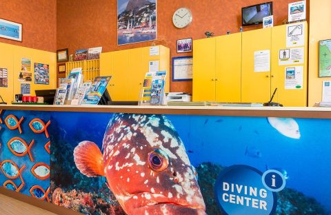 4-Espagne-Estartit-Hotel-Illes-plongee-diving-center