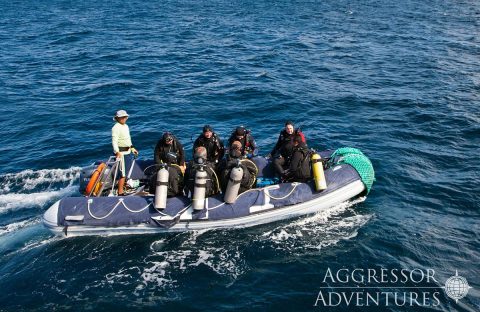 4_c6bo-voyage-plongee-equateur-galapagos-aggressor-3-yacht-dive-boat