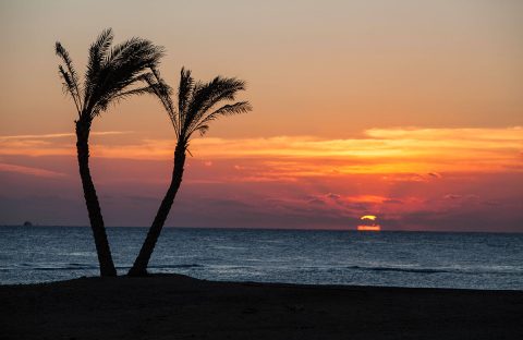 4_c6bo-voyages-plongee-egypte-abu-dabbab-sejour-diving-DE-center-sunset