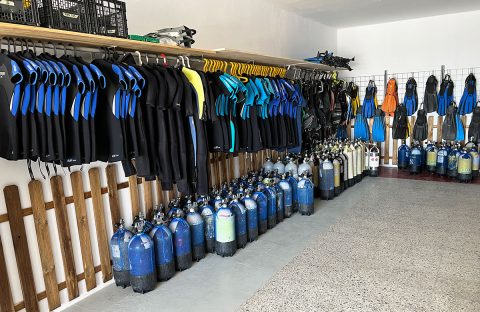 5_c6bo-voyage-plongee-iles-canaries-lanzarote-puerto-del-carmen-aquasport-diving-centre-IMG_2876