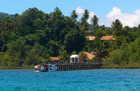 5_c6bo-voyages-plongee-croisiere-sejour-indonesie-manado-muck-dive-macro-crabe-diraimondo-resort-vue-mer