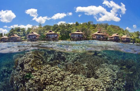 6.2__c6bo-voyage-plongee-indonesie-Raja-Ampat-Papua-Paradise-Eco-Resort-House-Reef