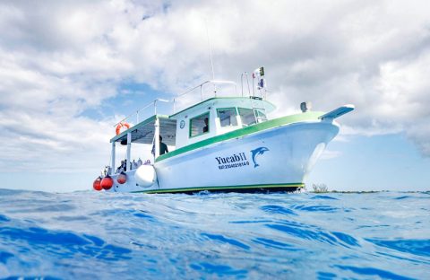 Photo du bateau de plongée pour la plongée à Cozumel entrain de naviguer - angle 1