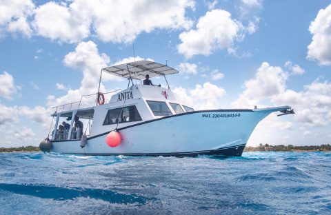 Photo du bateau de plongée pour la plongée à Cozumel entrain de naviguer