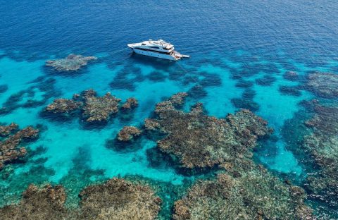 c6bo-voyage-plongee-arabie-saoudite-ocean-breeze-croisiere-vue-aerienne