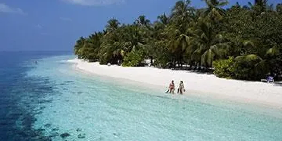 images_Images__sites_Ocean__Indien_Maldives_Ari__atoll__Sud_Sejour__au__Vilamendhoo_C6Bo-Voyages-plongee-Maldives-Ari-Atoll-Sud-Gilles-Diraimondo-snorkeling-beach